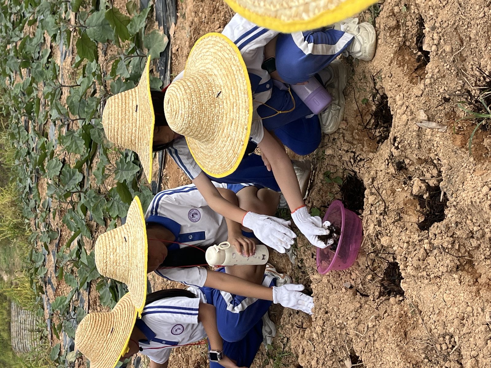 活動照片
